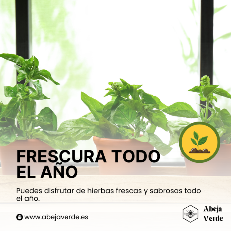 Guía completa para cultivar albahaca en interior y mantenerla fresca todo el año