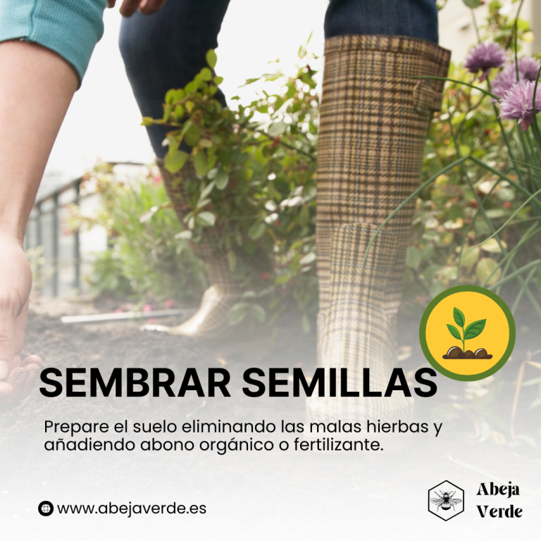 Jardinería ecológica de albahaca: Cómo cultivar hierbas sin productos químicos