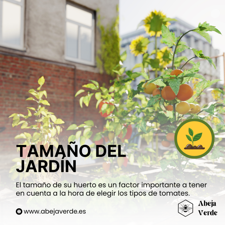 Tomates determinados e indeterminados: cómo elegir el tipo adecuado para su huerto