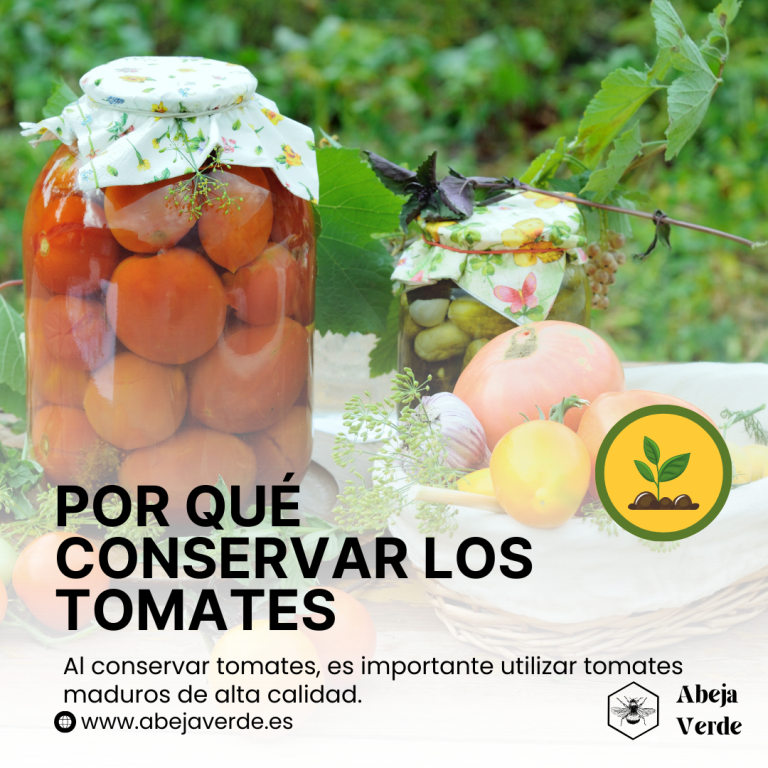 Conservar la cosecha: Tomates y conservas para disfrutar todo el año