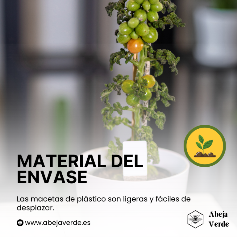 Consejos para una cosecha abundante: Cultivar tomates en contenedores en espacios reducidos