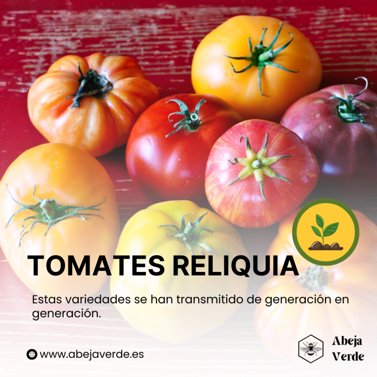 Cómo elegir las variedades de tomate adecuadas para su huerto