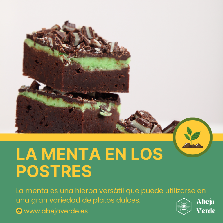 Menta en la cocina: Recetas