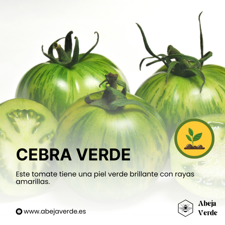 Tomates reliquia: Descubra su rica historia y sus variedades únicas