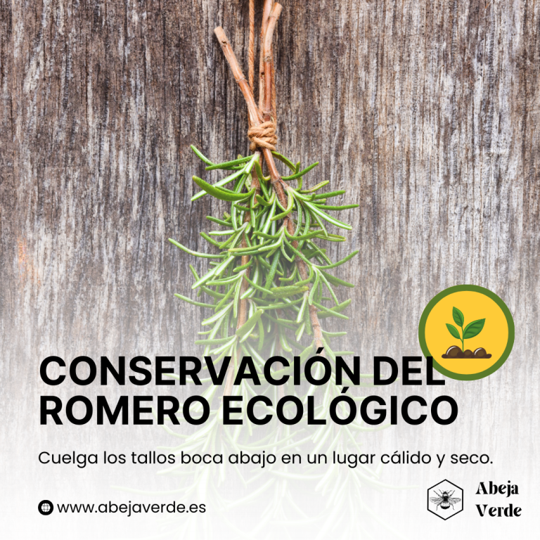 Jardinería ecológica con romero