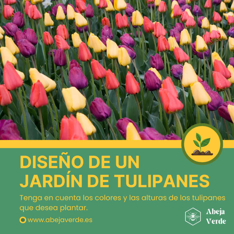 Métodos para propagar con éxito los tulipanes