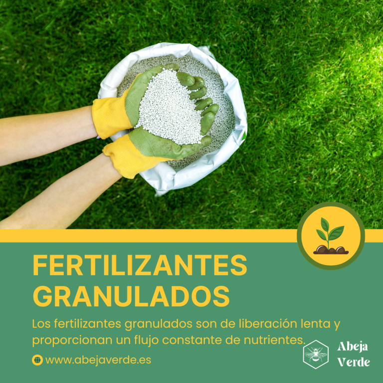 11 mejores abonos para el cultivo de hortalizas