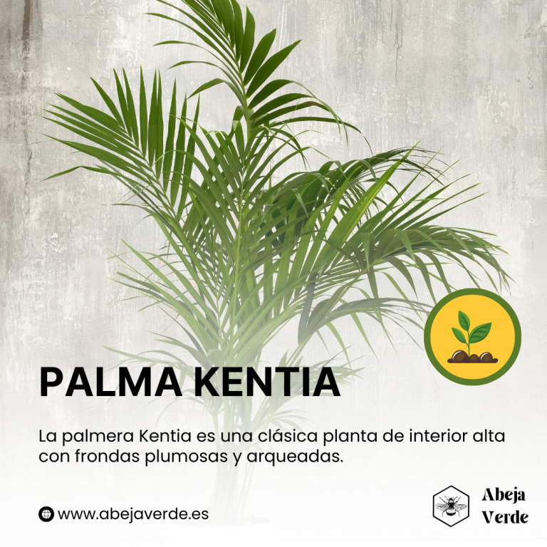 Las 25 mejores plantas de interior altas como árboles