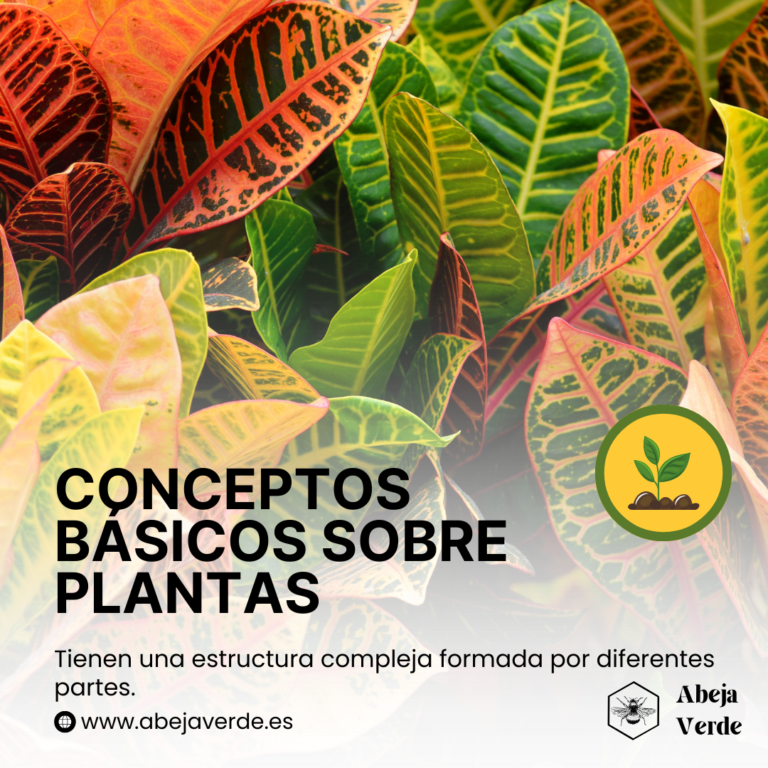 Guía completa para empezar a cultivar plantas