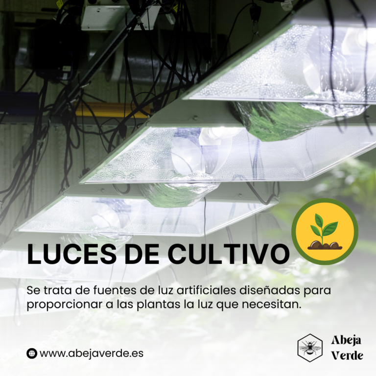 13 mejores lámparas de cultivo para plantas y semilleros de interior