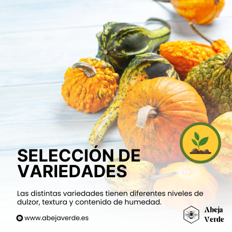 Las 11 mejores variedades de calabaza para hacer puré